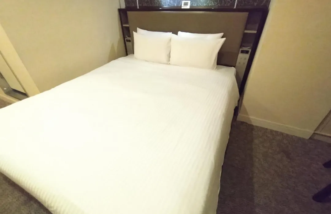 Asakusa Central Hotel-1